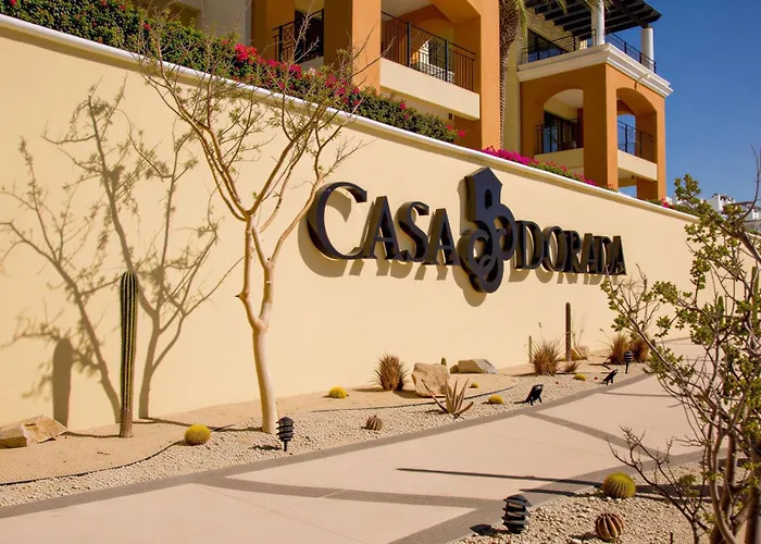 Penthouse One Bedroom - Club Casa Dorada At Medano *